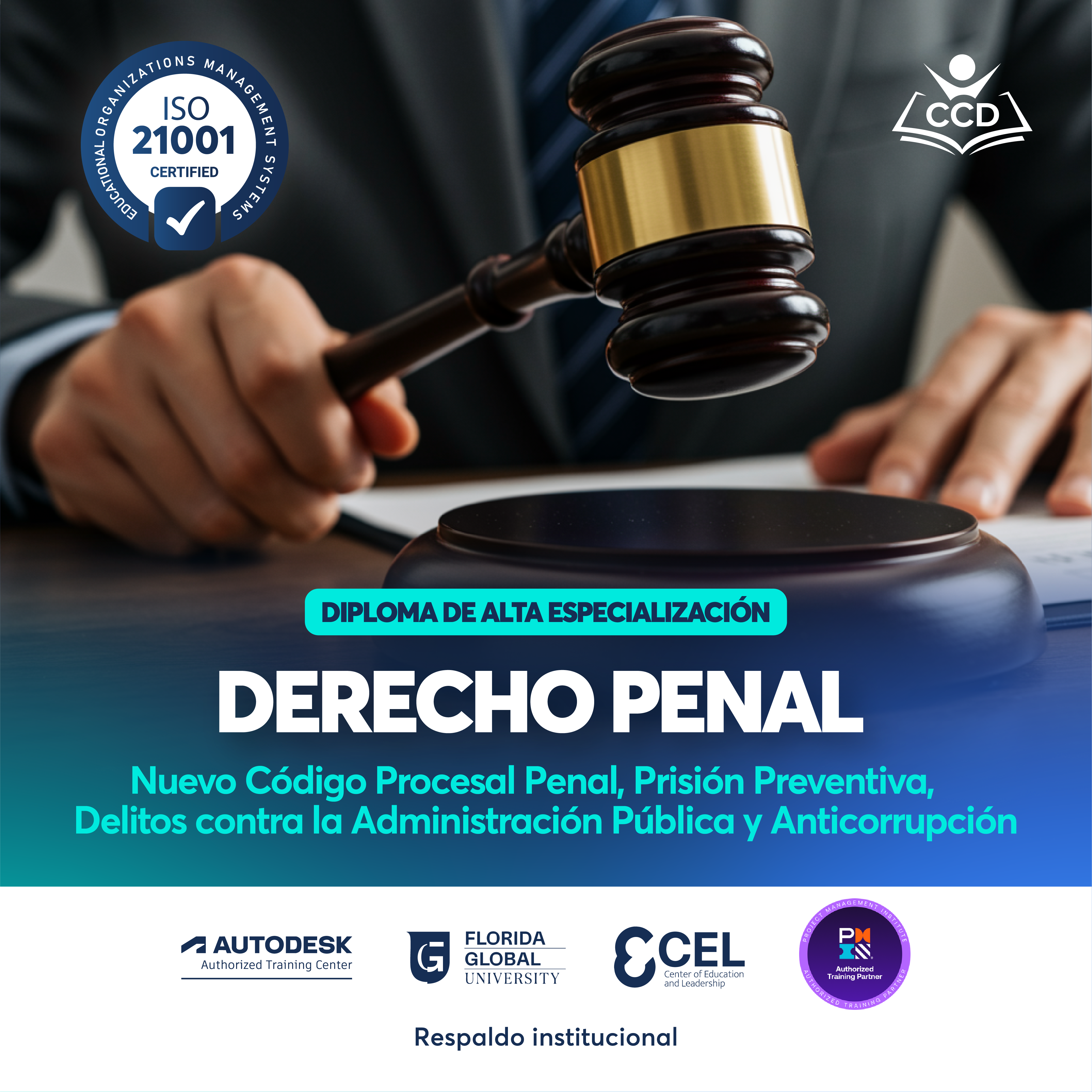 DERECHO PENAL, NUEVO CÓDIGO PROCESAL PENAL, PRISIÓN PREVENTIVA, DELITOS CONTRA LA ADMINISTRACIÓN PÚBLICA Y ANTICORRUPCIÓN